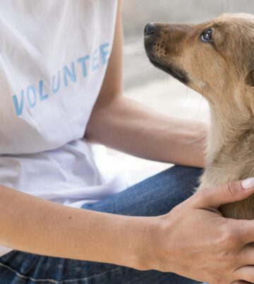 vista-lateral-perro-rescate-amando-afecto-que-recibe-mujer-refugio
